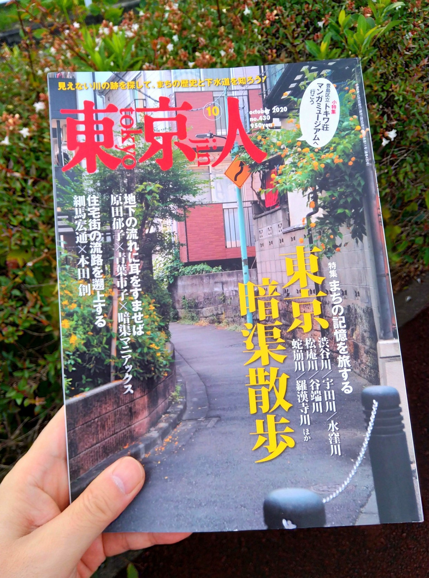 f:id:koikesan:20200904181031j:plain
