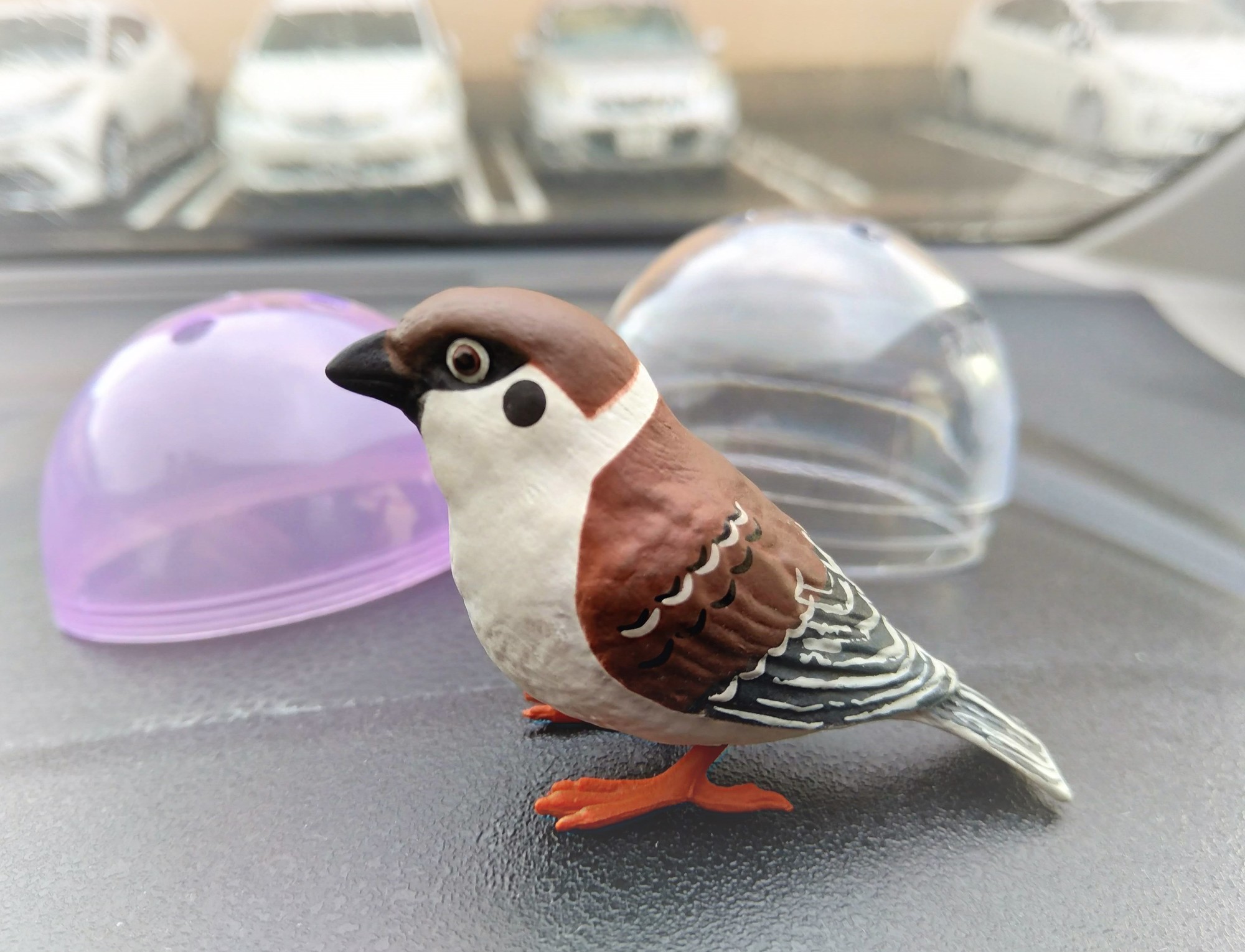 f:id:koikesan:20200907172405j:plain