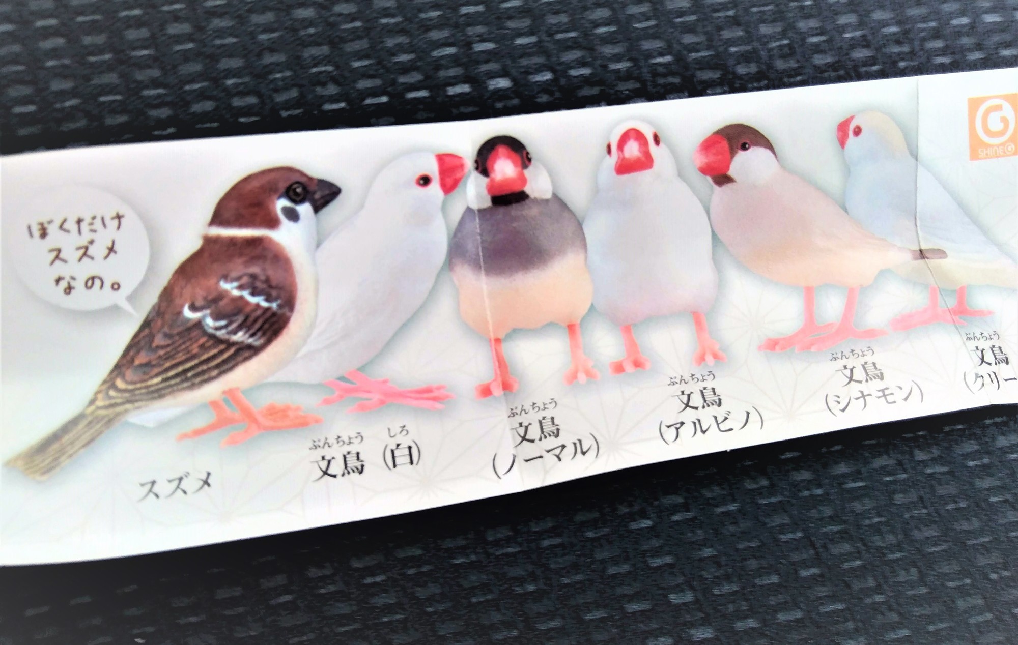 f:id:koikesan:20200907172524j:plain