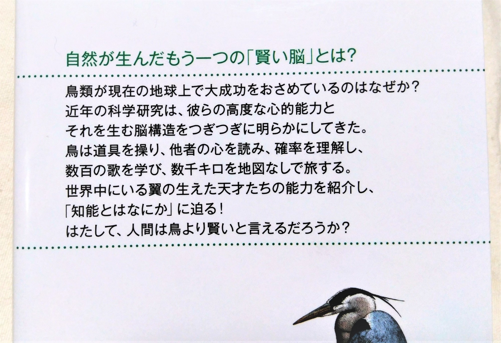 f:id:koikesan:20200907193900j:plain