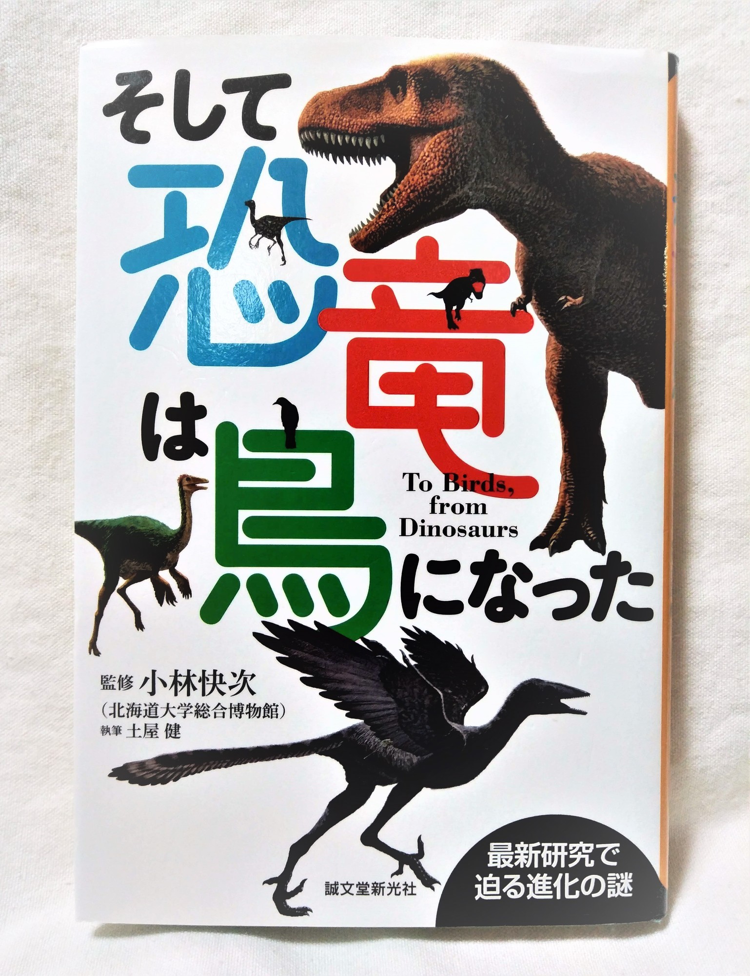 f:id:koikesan:20201019222730j:plain