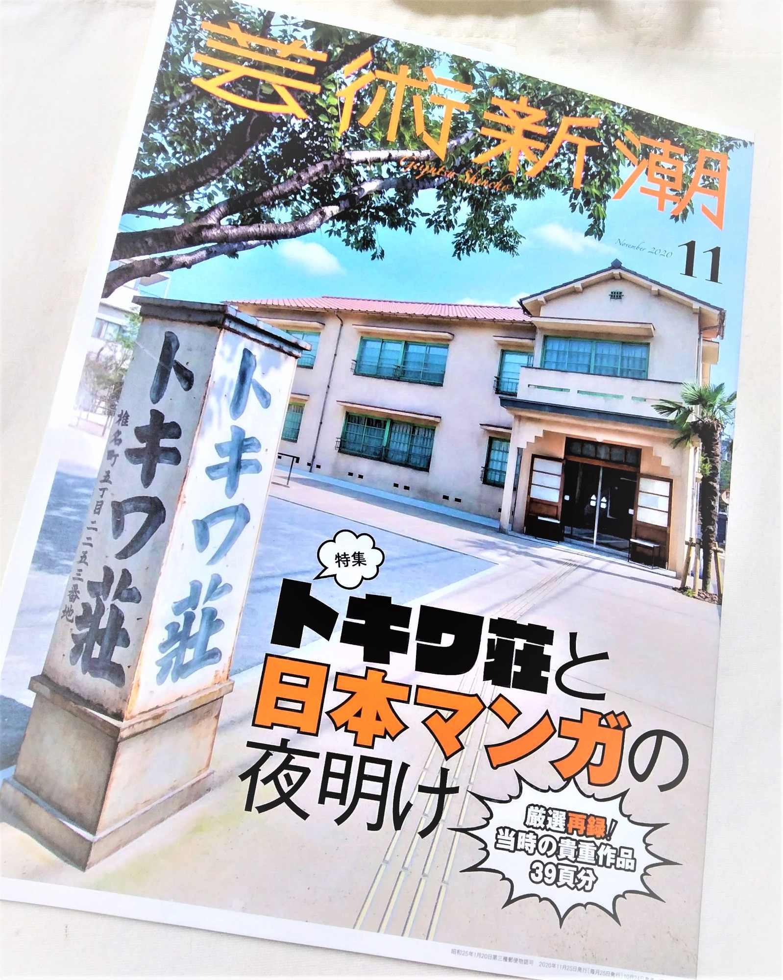 f:id:koikesan:20201024183935j:plain