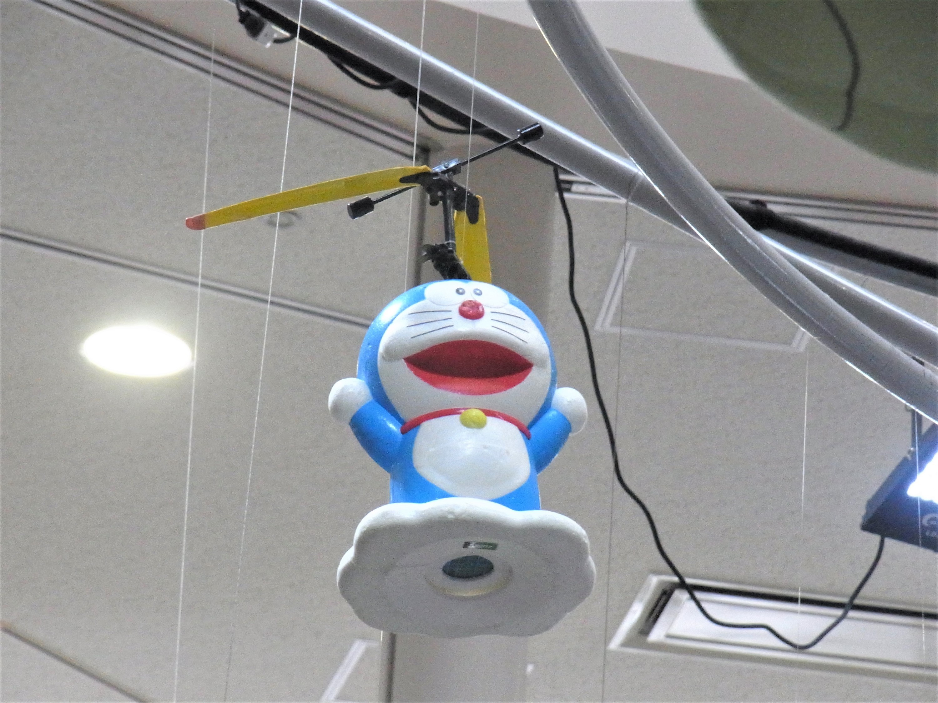 f:id:koikesan:20210327143740j:plain