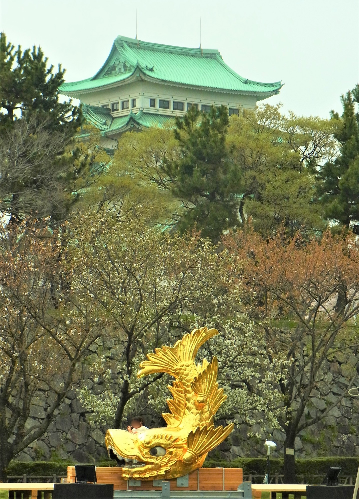 f:id:koikesan:20210330143606j:plain