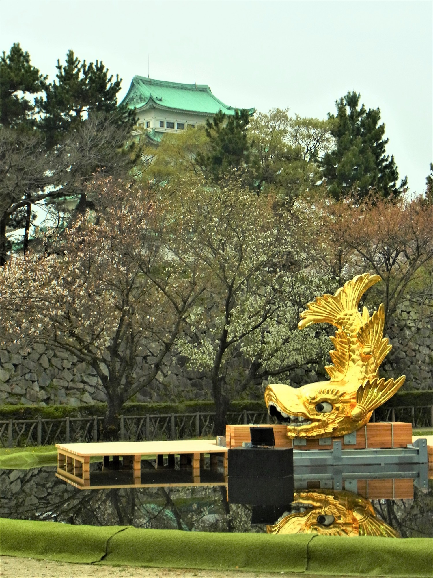 f:id:koikesan:20210330143739j:plain