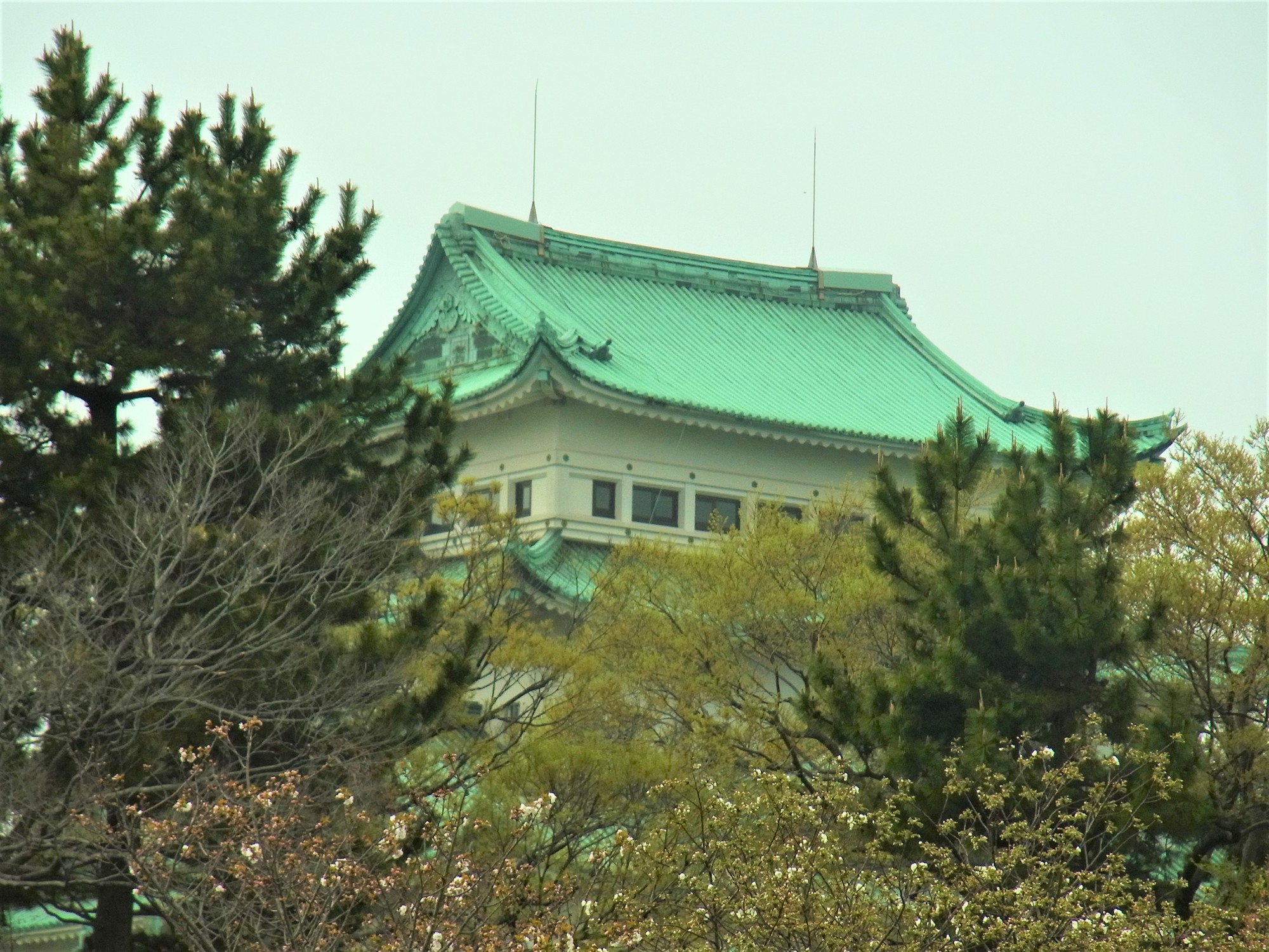 f:id:koikesan:20210330143814j:plain