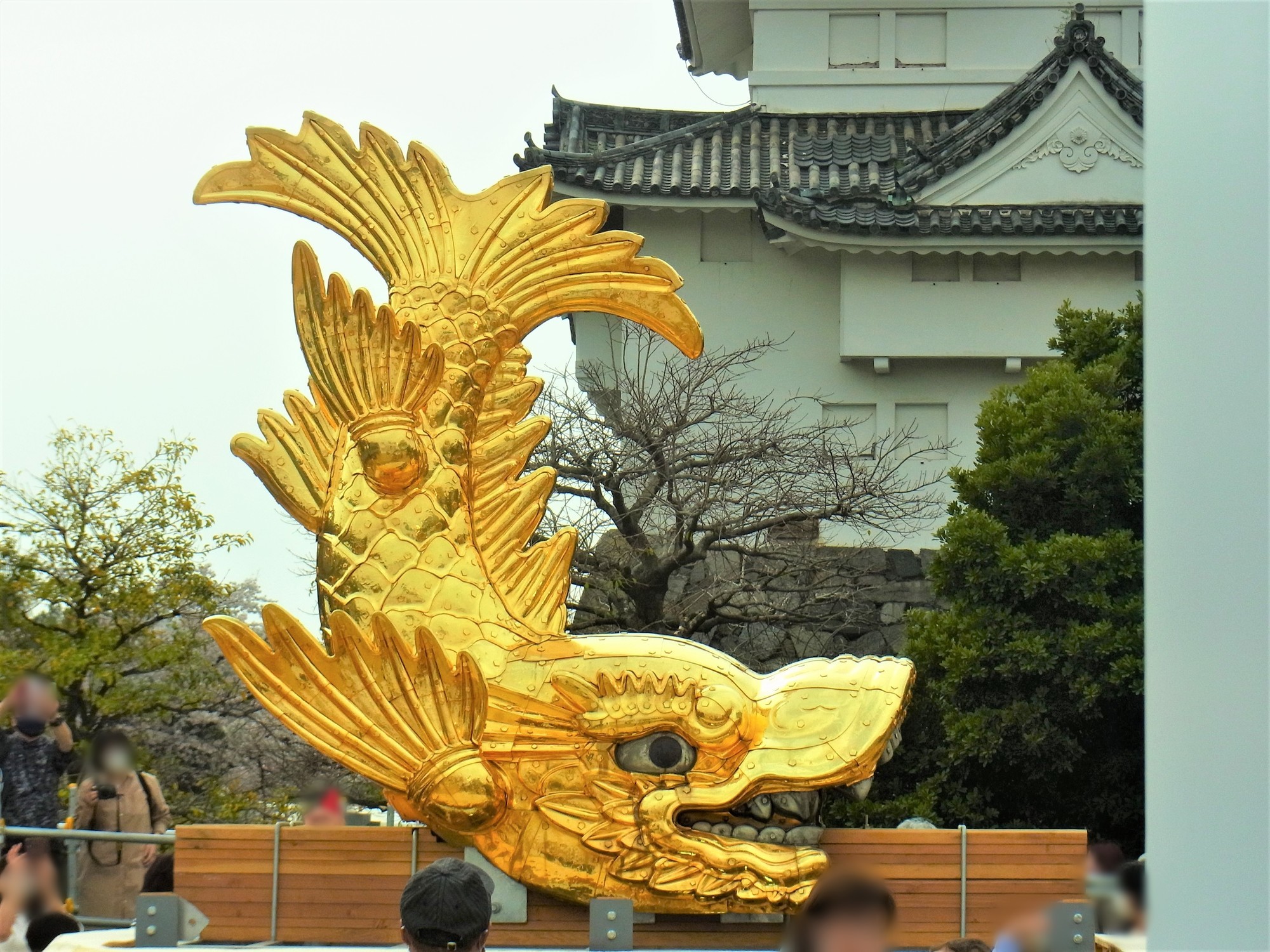 f:id:koikesan:20210330143837j:plain