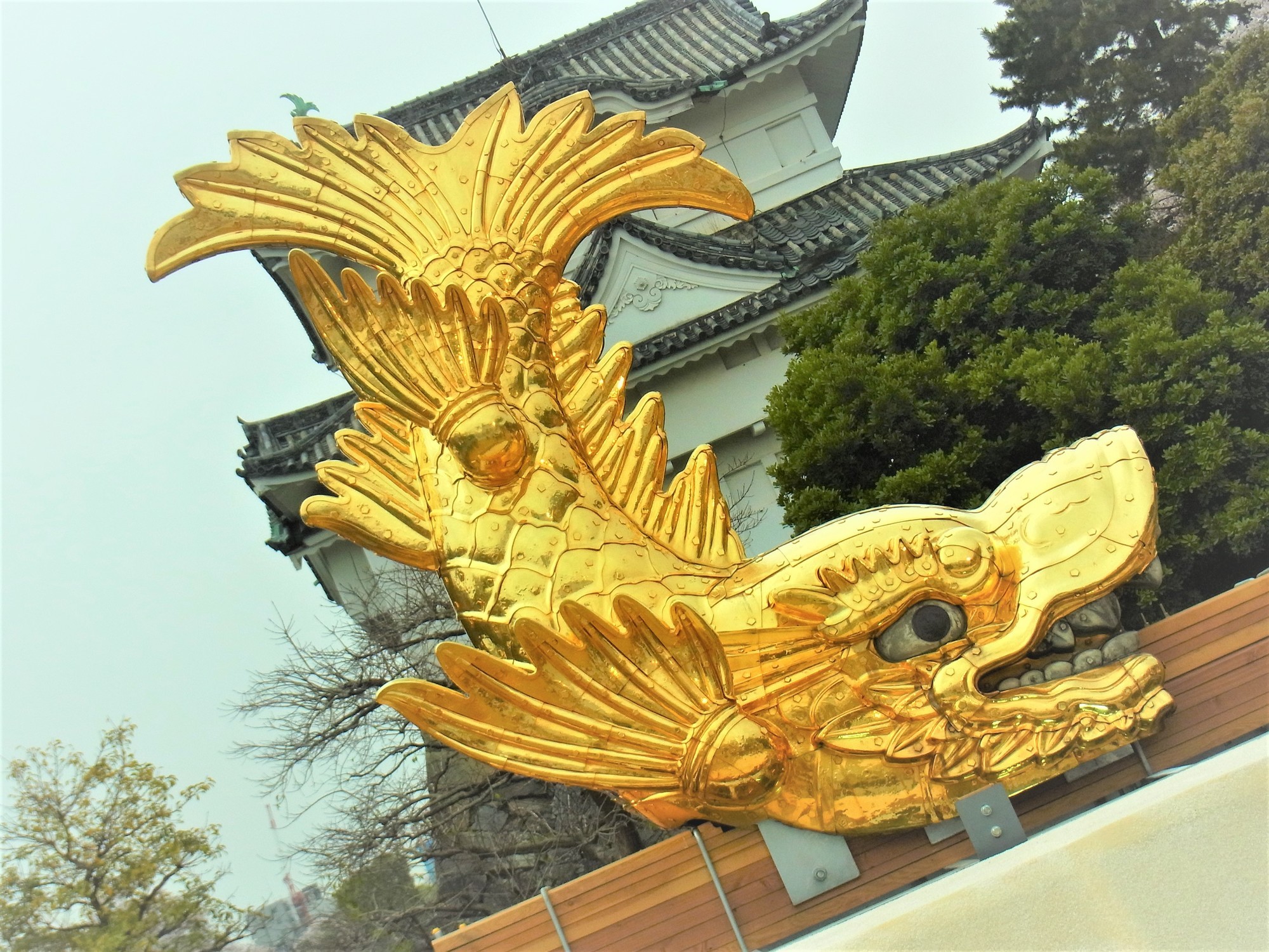 f:id:koikesan:20210330160752j:plain