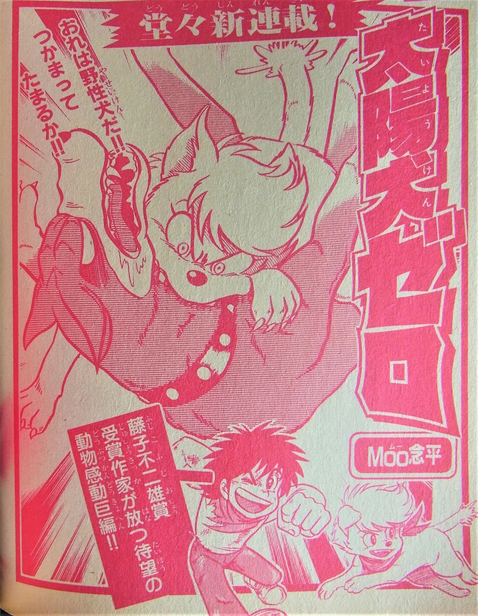 f:id:koikesan:20210409141913j:plain