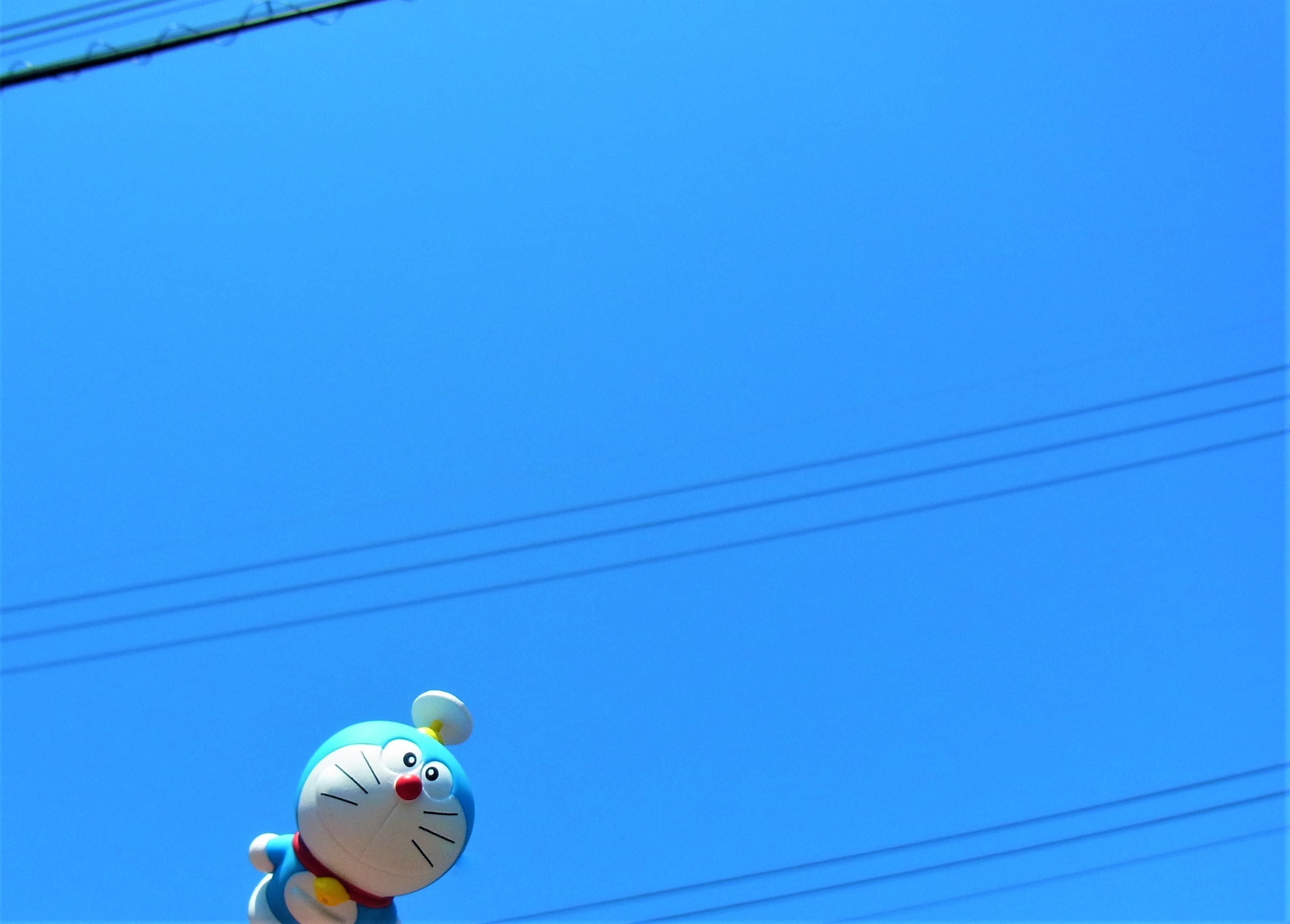 f:id:koikesan:20210421104816j:plain