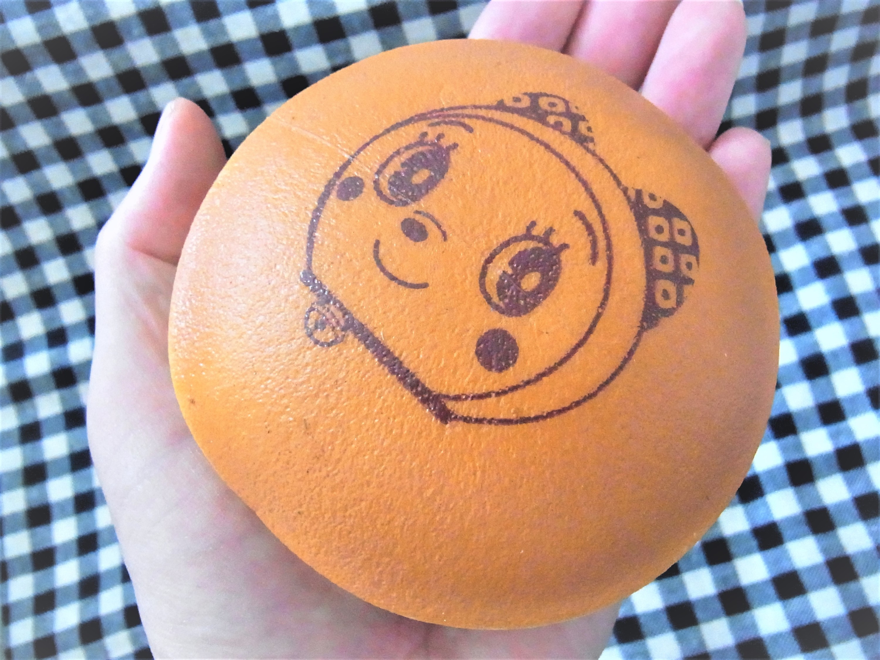 f:id:koikesan:20210531151416j:plain