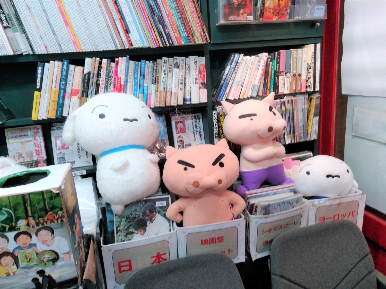 f:id:koikesan:20211016181328j:plain