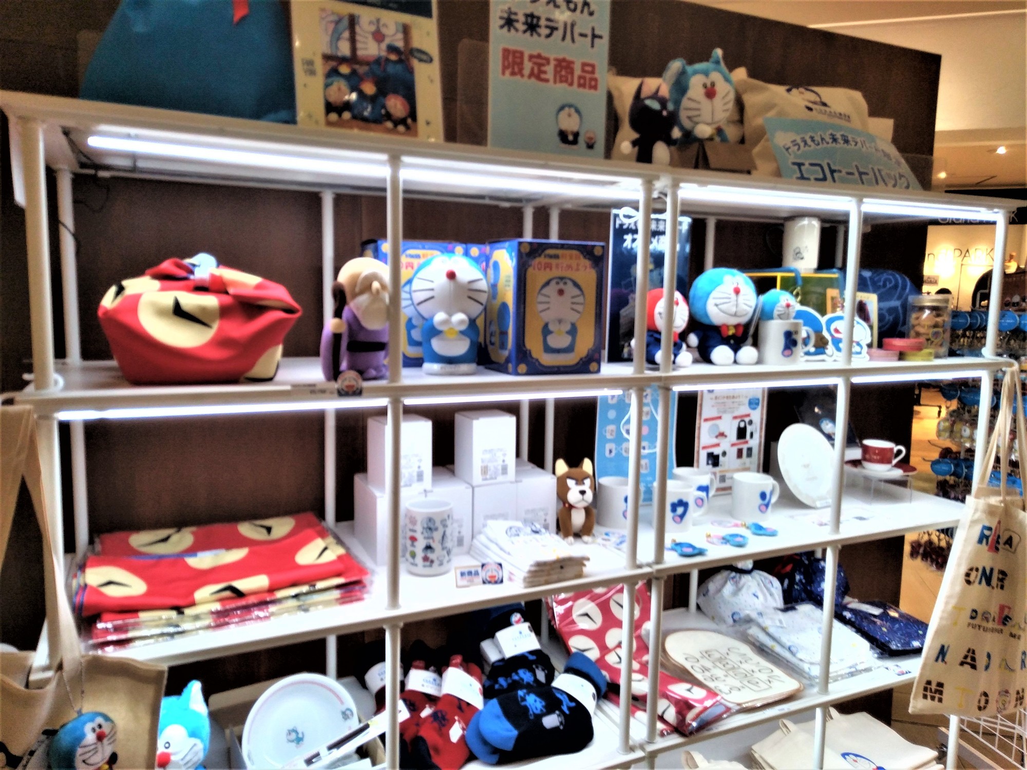 f:id:koikesan:20211116142947j:plain