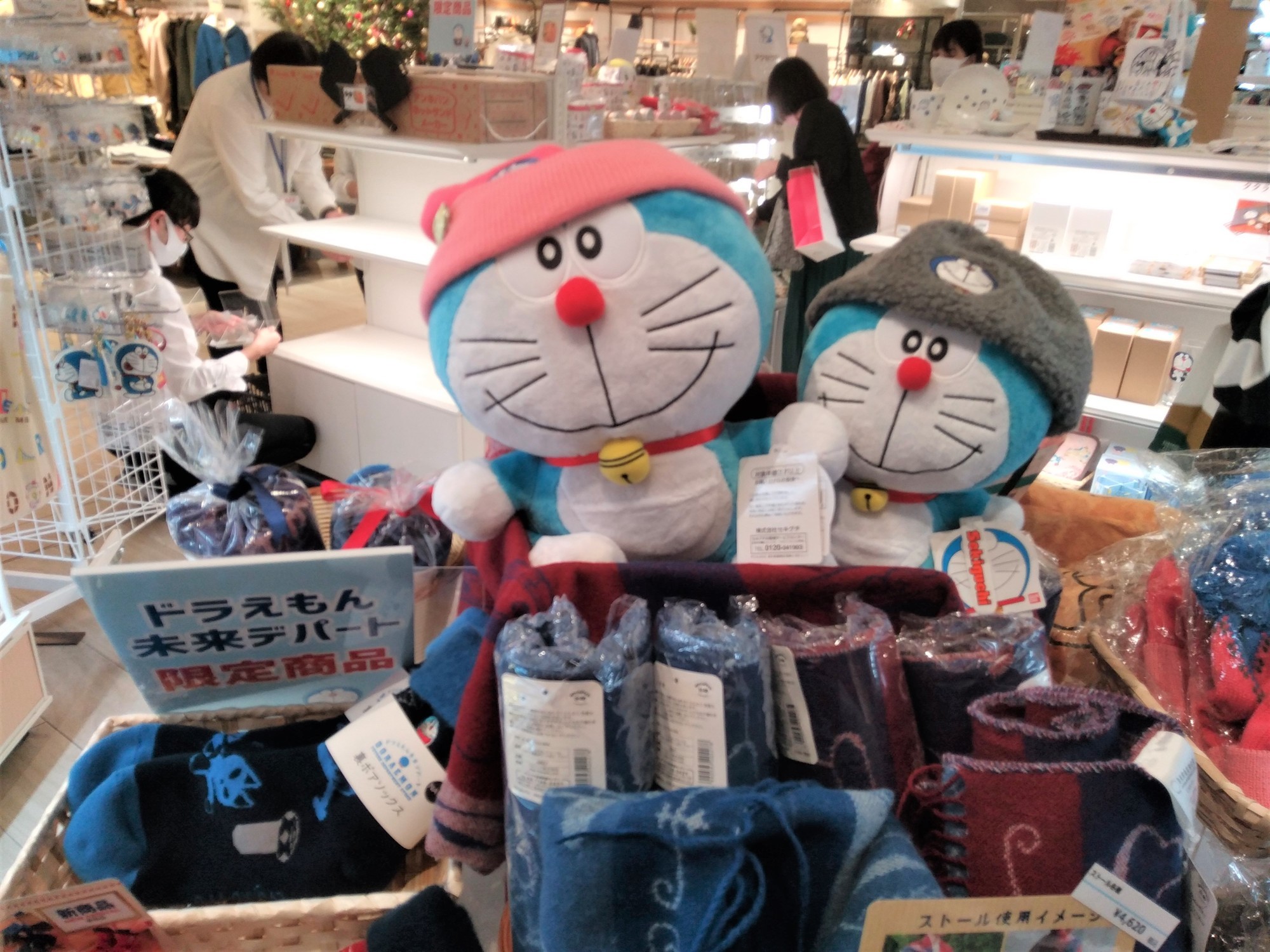 f:id:koikesan:20211116142950j:plain