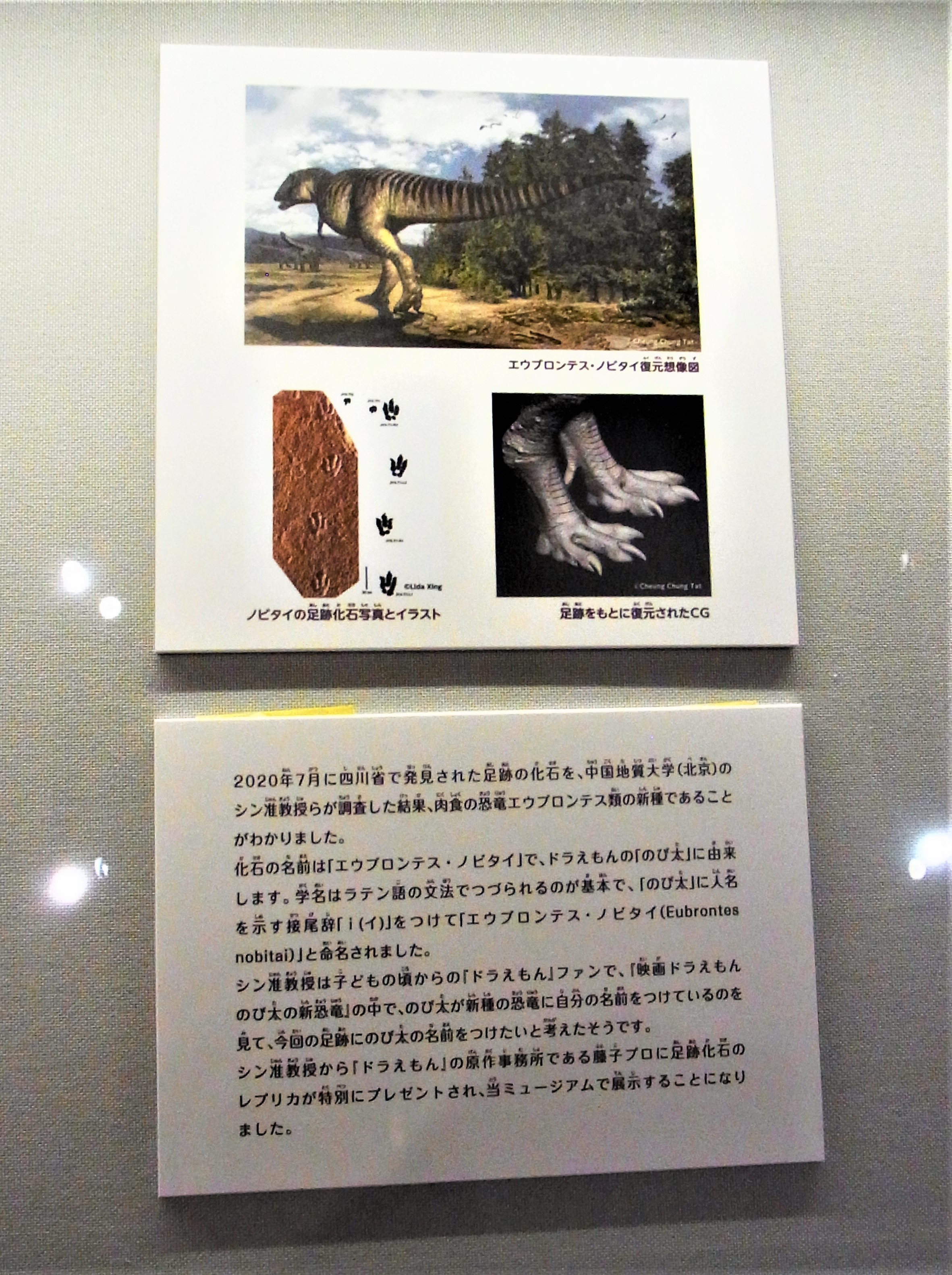 f:id:koikesan:20211216124655j:plain