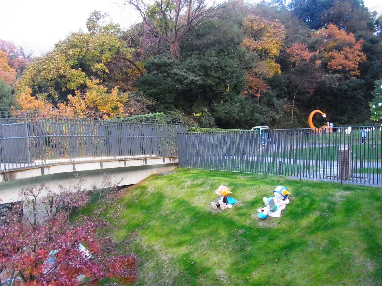 f:id:koikesan:20211216162533j:plain