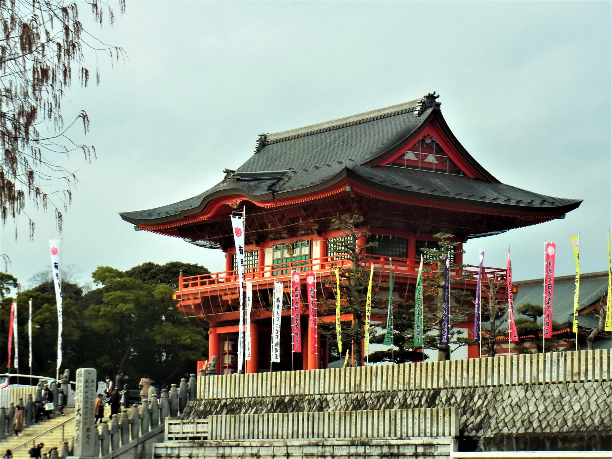 f:id:koikesan:20220103145830j:plain