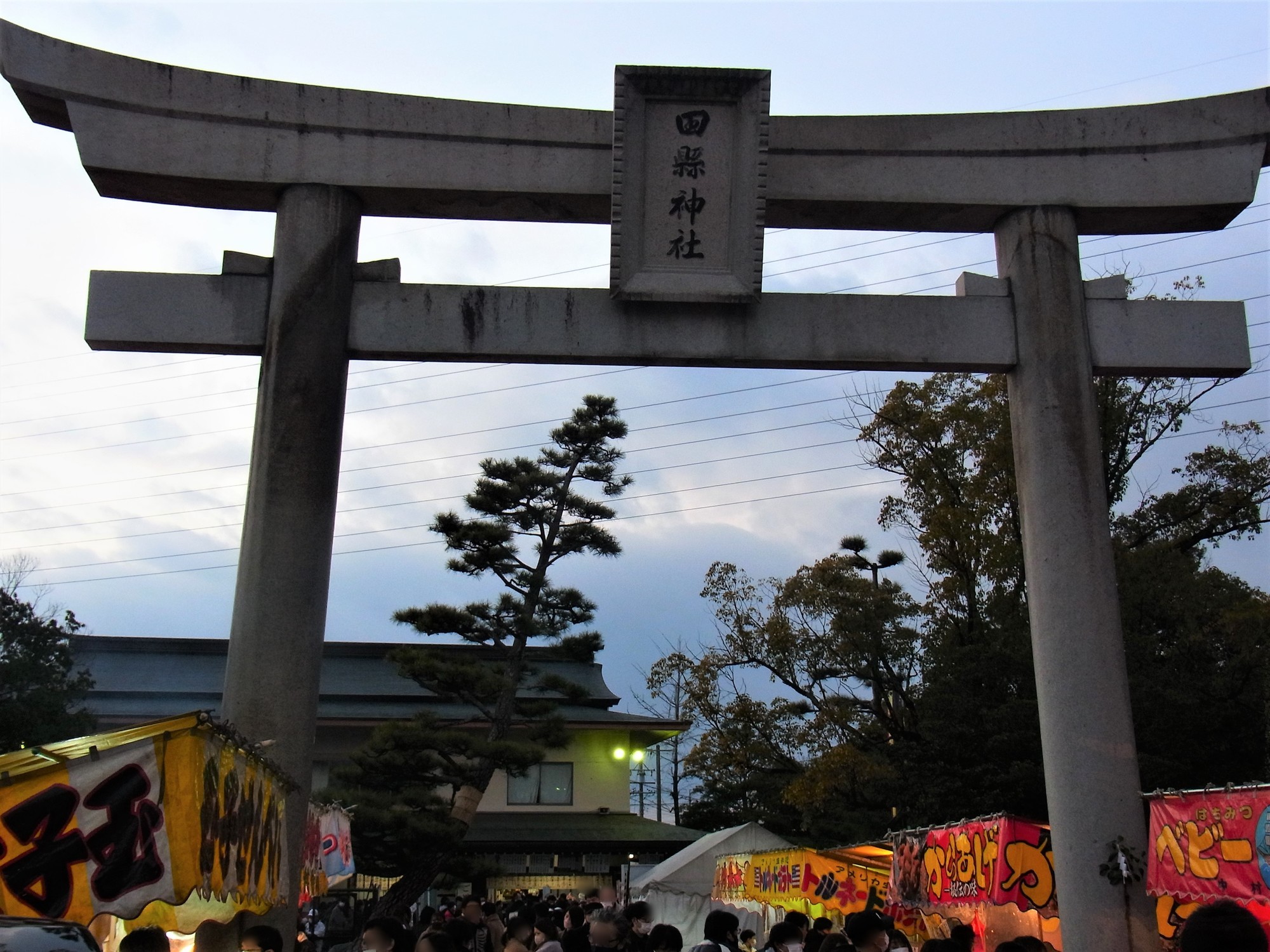 f:id:koikesan:20220103165658j:plain