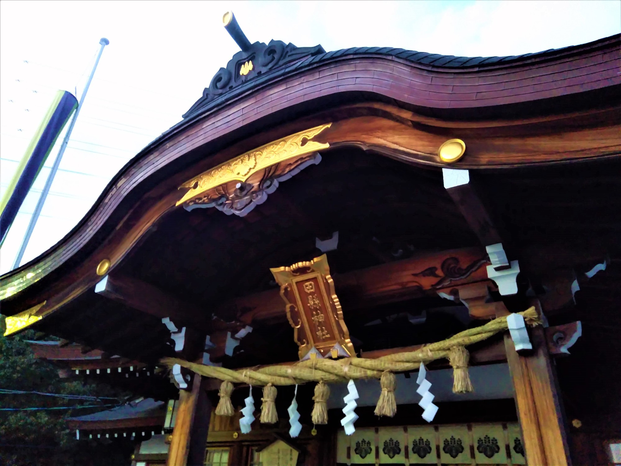 f:id:koikesan:20220103170552j:plain