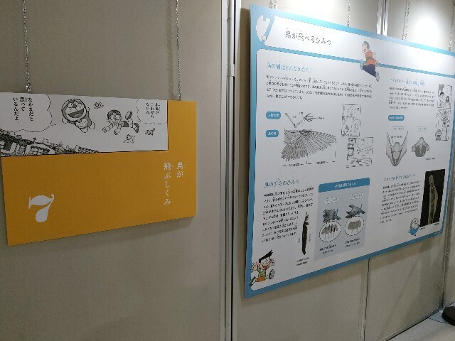 f:id:koikesan:20250324143857j:image