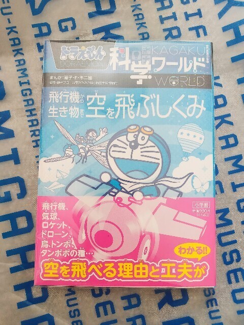 f:id:koikesan:20250329124328j:image