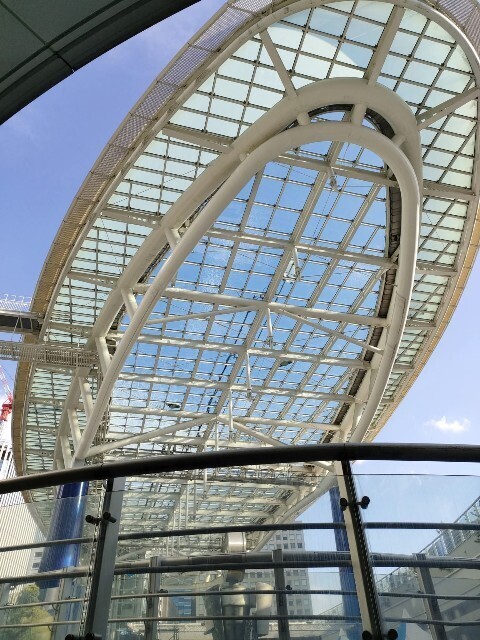 f:id:koikesan:20250811132222j:image