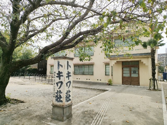 f:id:koikesan:20251023084040j:image