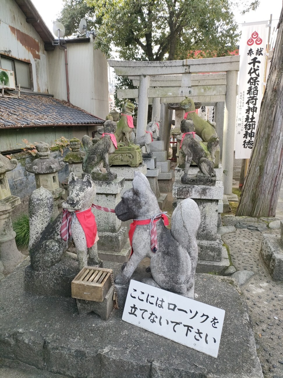 f:id:koikesan:20251125194701j:image