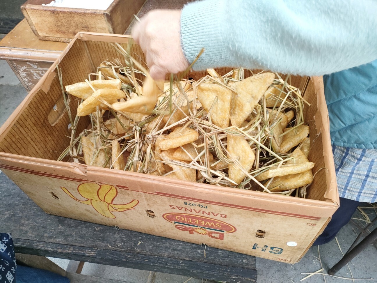 f:id:koikesan:20251125194907j:image
