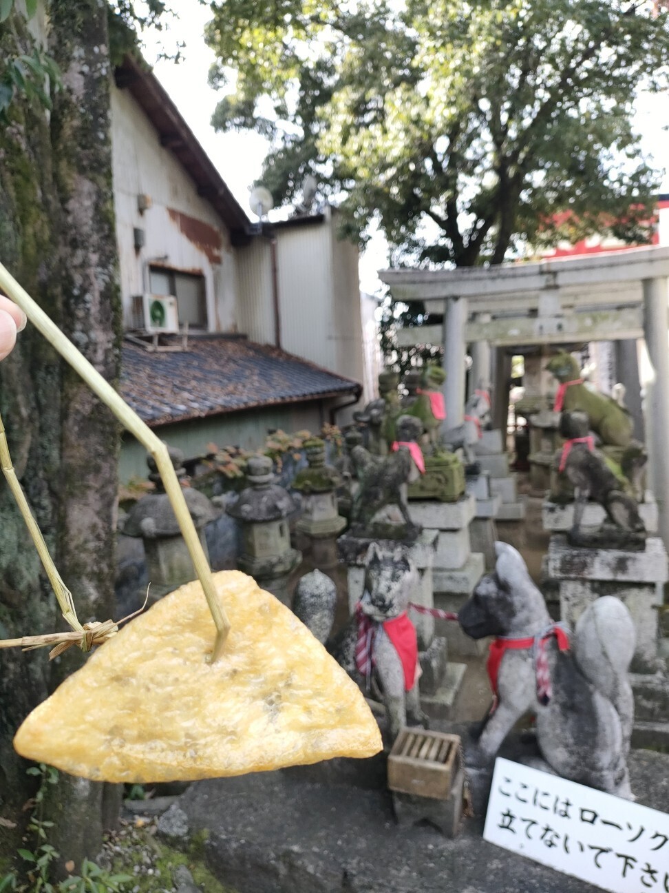 f:id:koikesan:20251125195155j:image