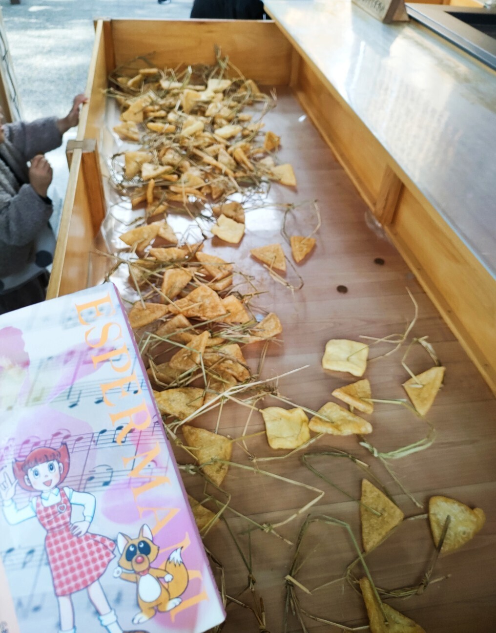 f:id:koikesan:20251125195348j:image