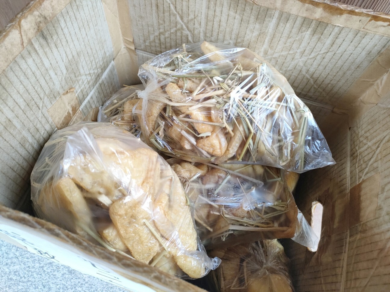 f:id:koikesan:20251125195828j:image