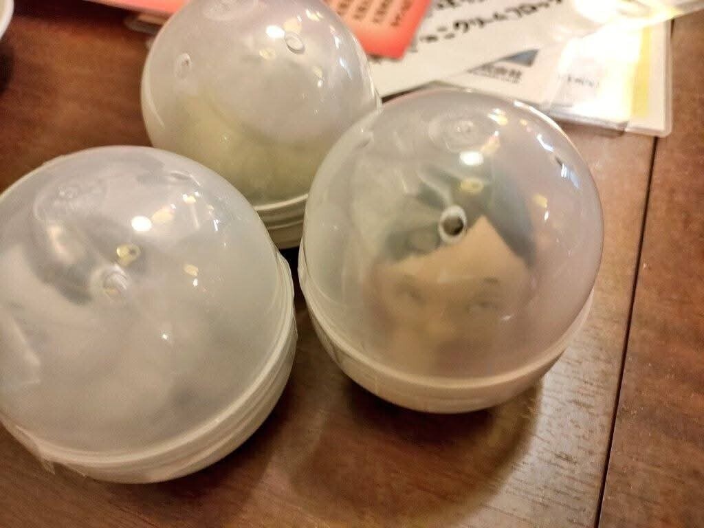 f:id:koikesan:20251224053341j:image