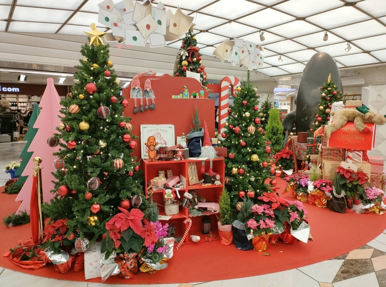 f:id:koikesan:20251224221108j:image