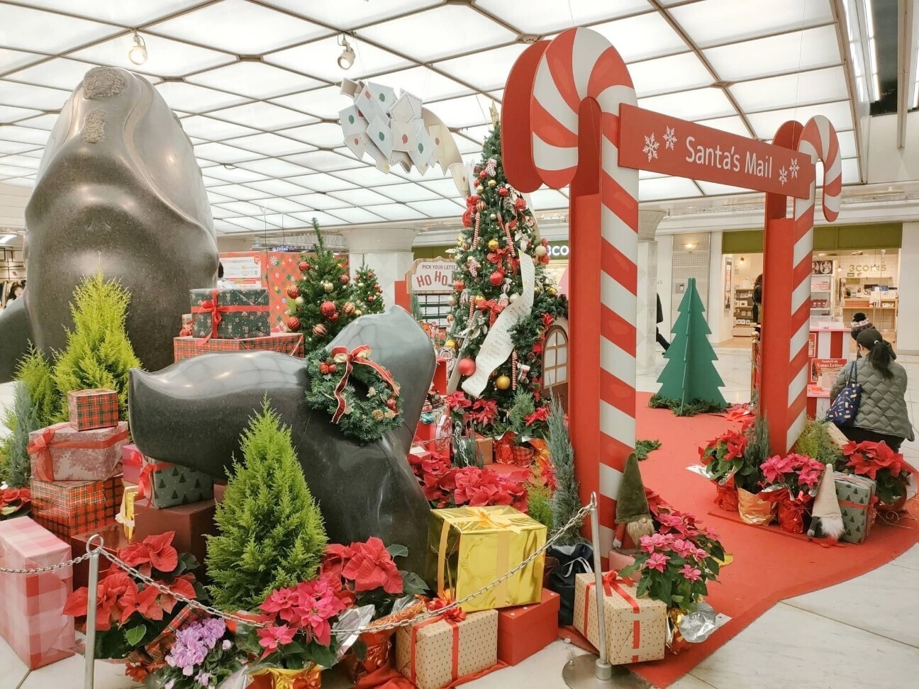 f:id:koikesan:20251224221228j:image