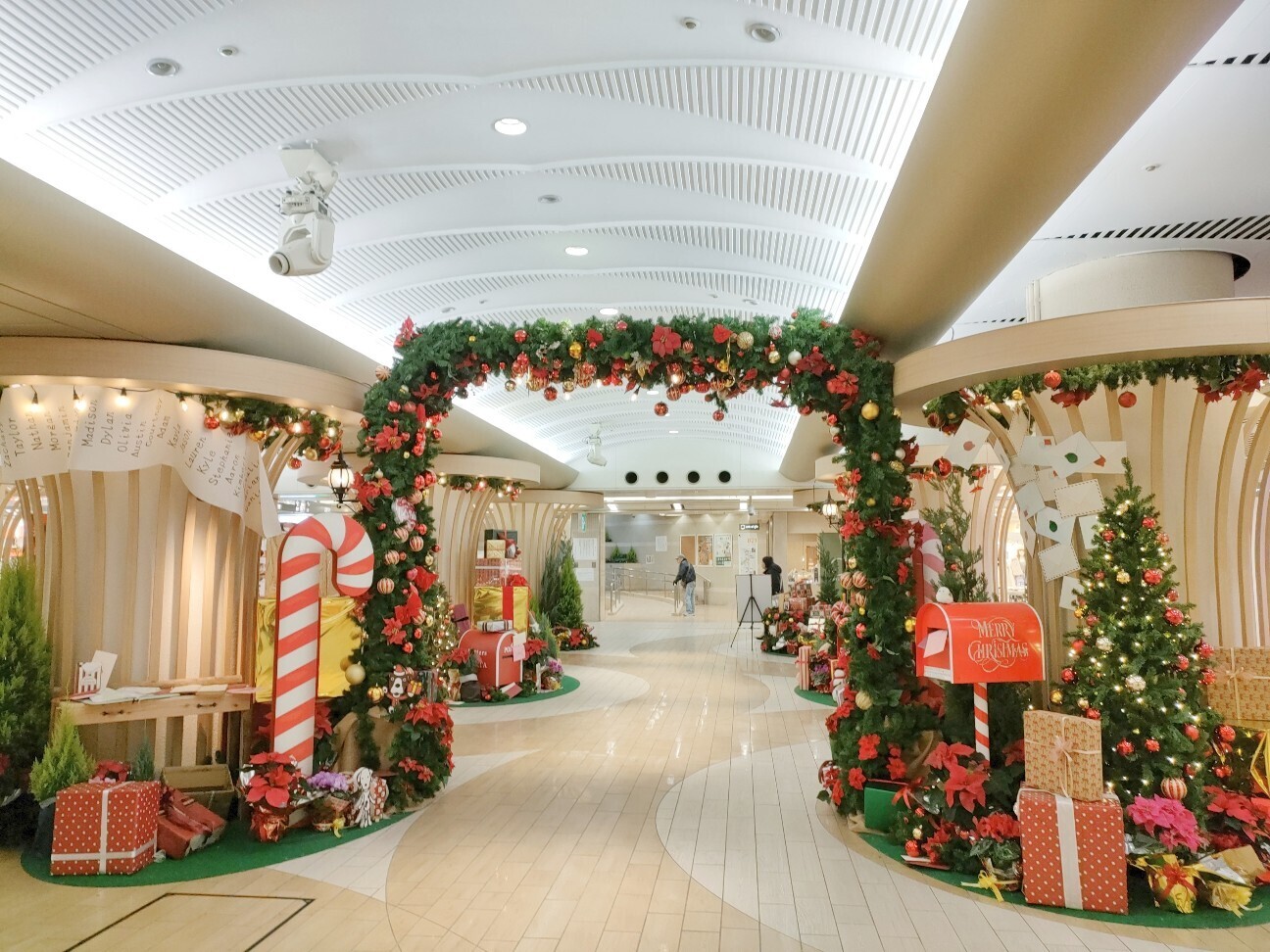 f:id:koikesan:20251225081356j:image