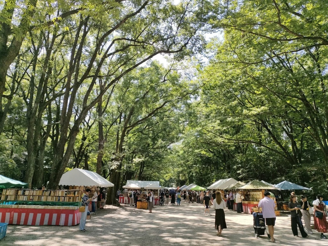 f:id:koikesan:20251225214651j:image