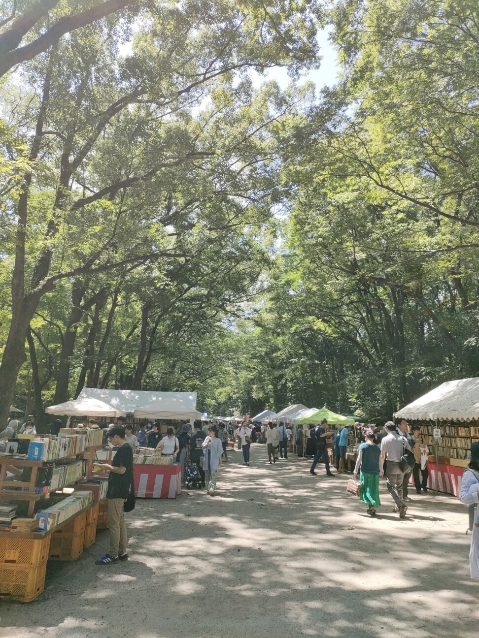 f:id:koikesan:20251225214659j:image