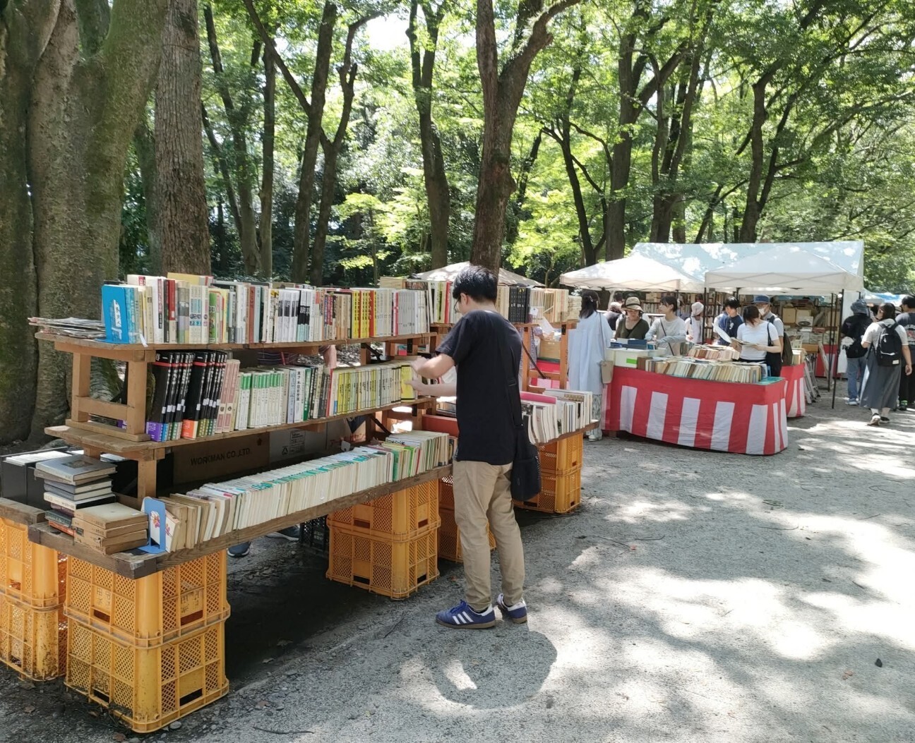 f:id:koikesan:20251225214714j:image