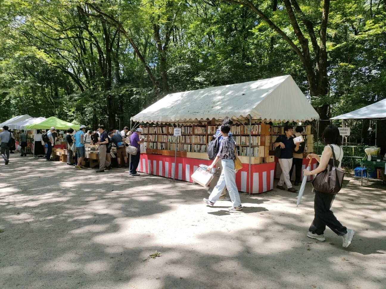 f:id:koikesan:20251225214729j:image