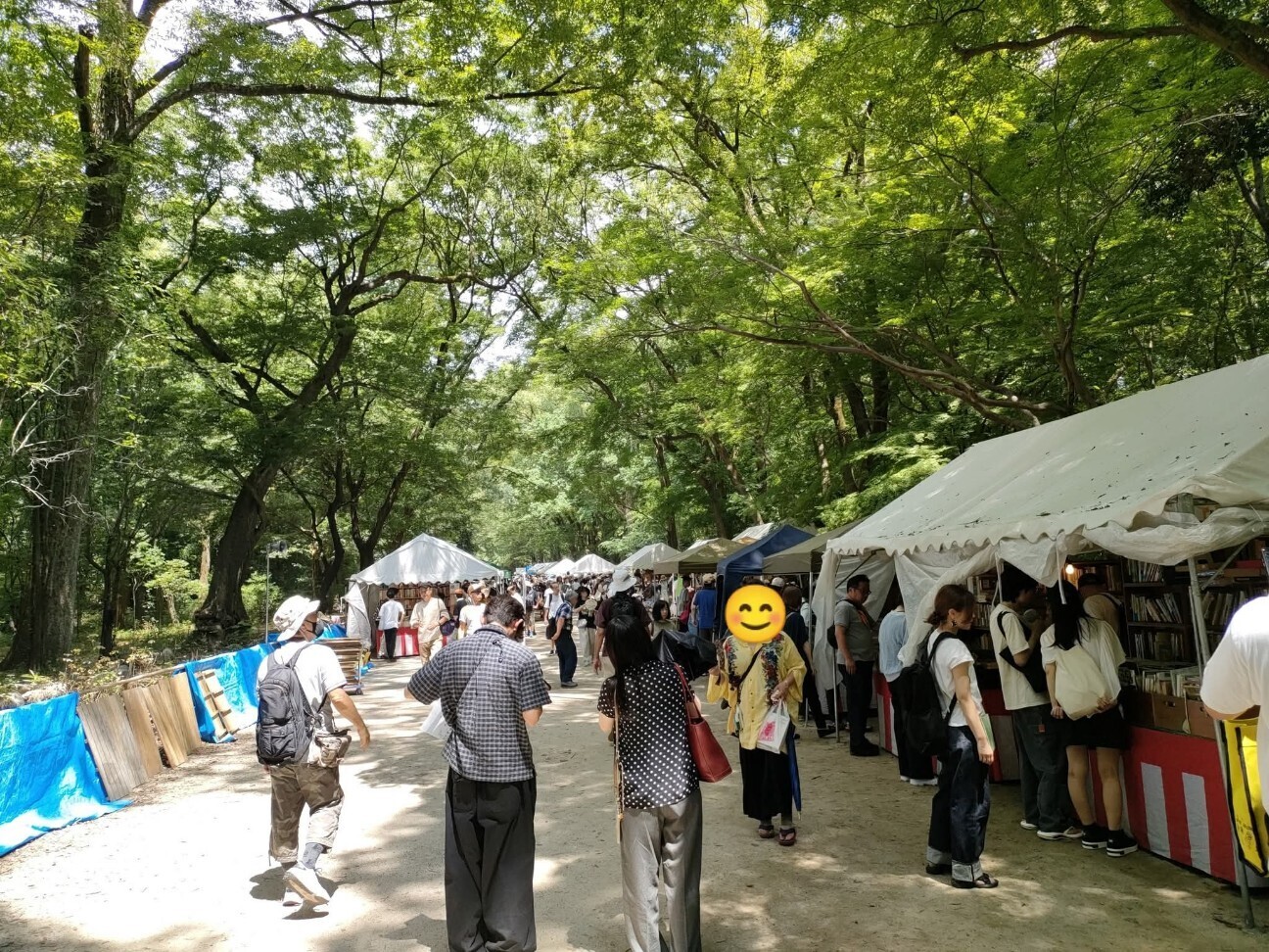 f:id:koikesan:20251225214937j:image