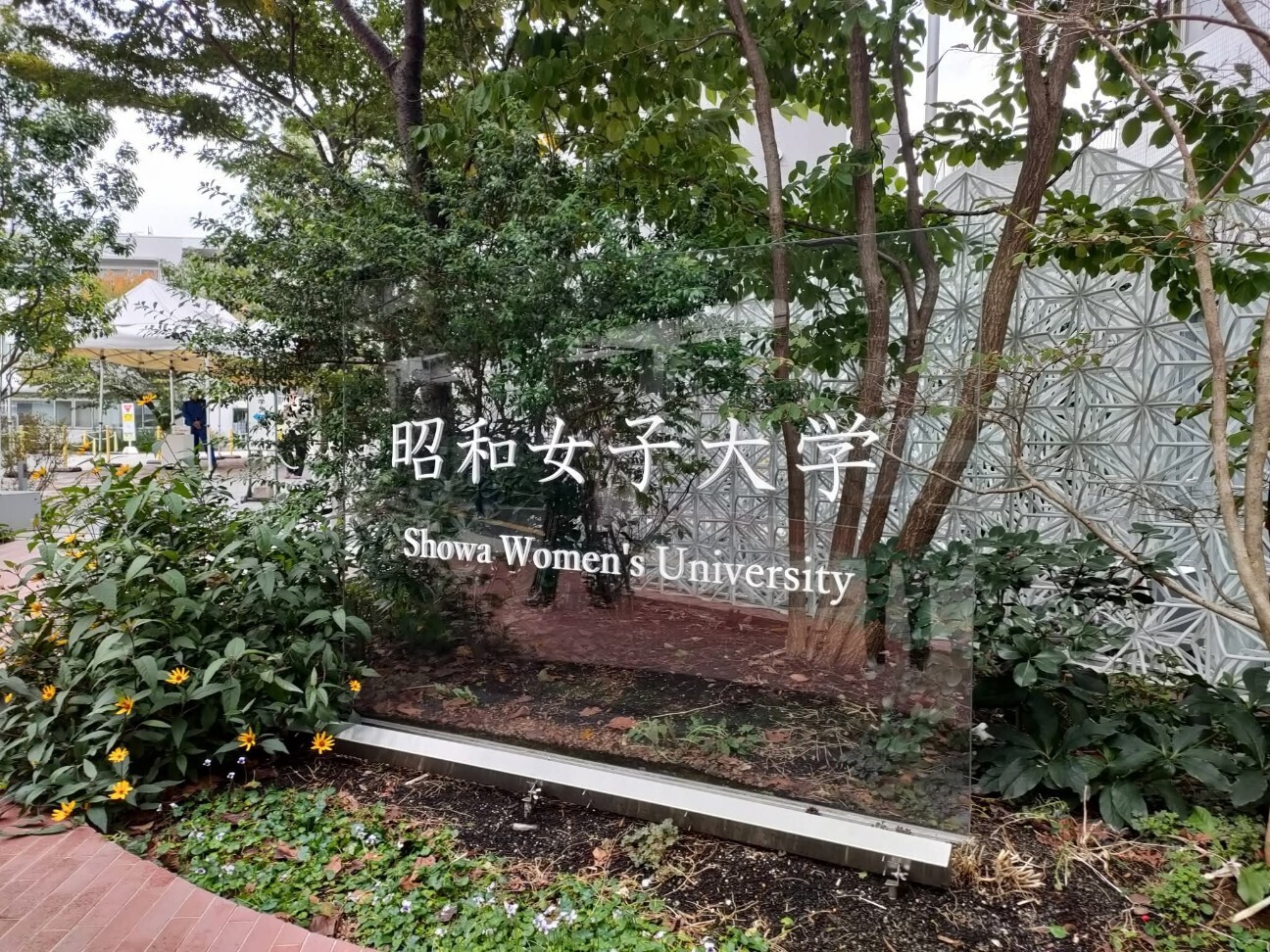 f:id:koikesan:20251229152958j:image