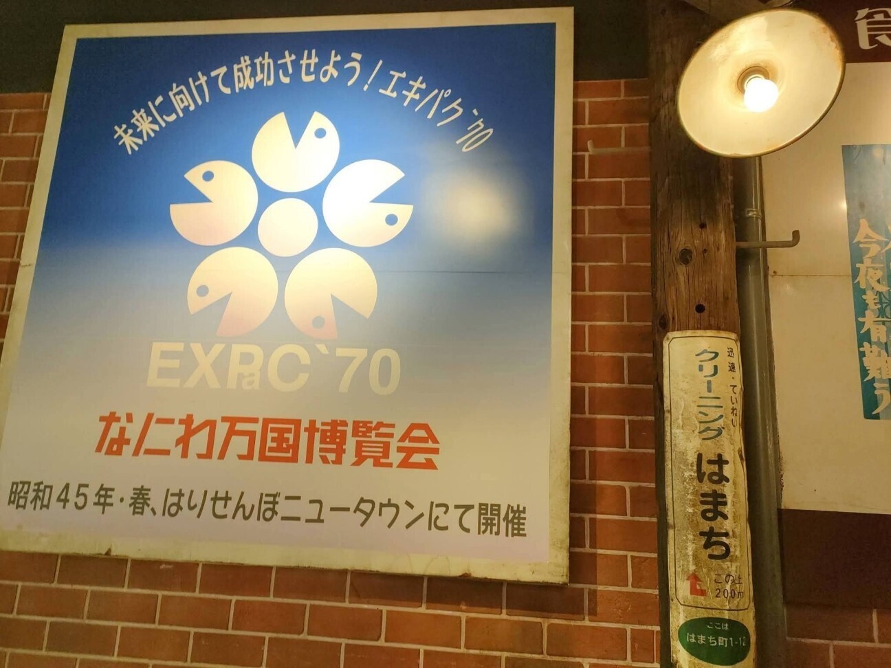 f:id:koikesan:20251231121441j:image