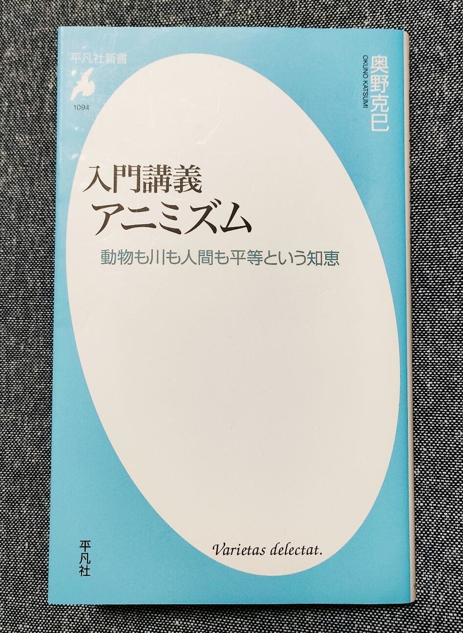 f:id:koikesan:20260206193135j:image