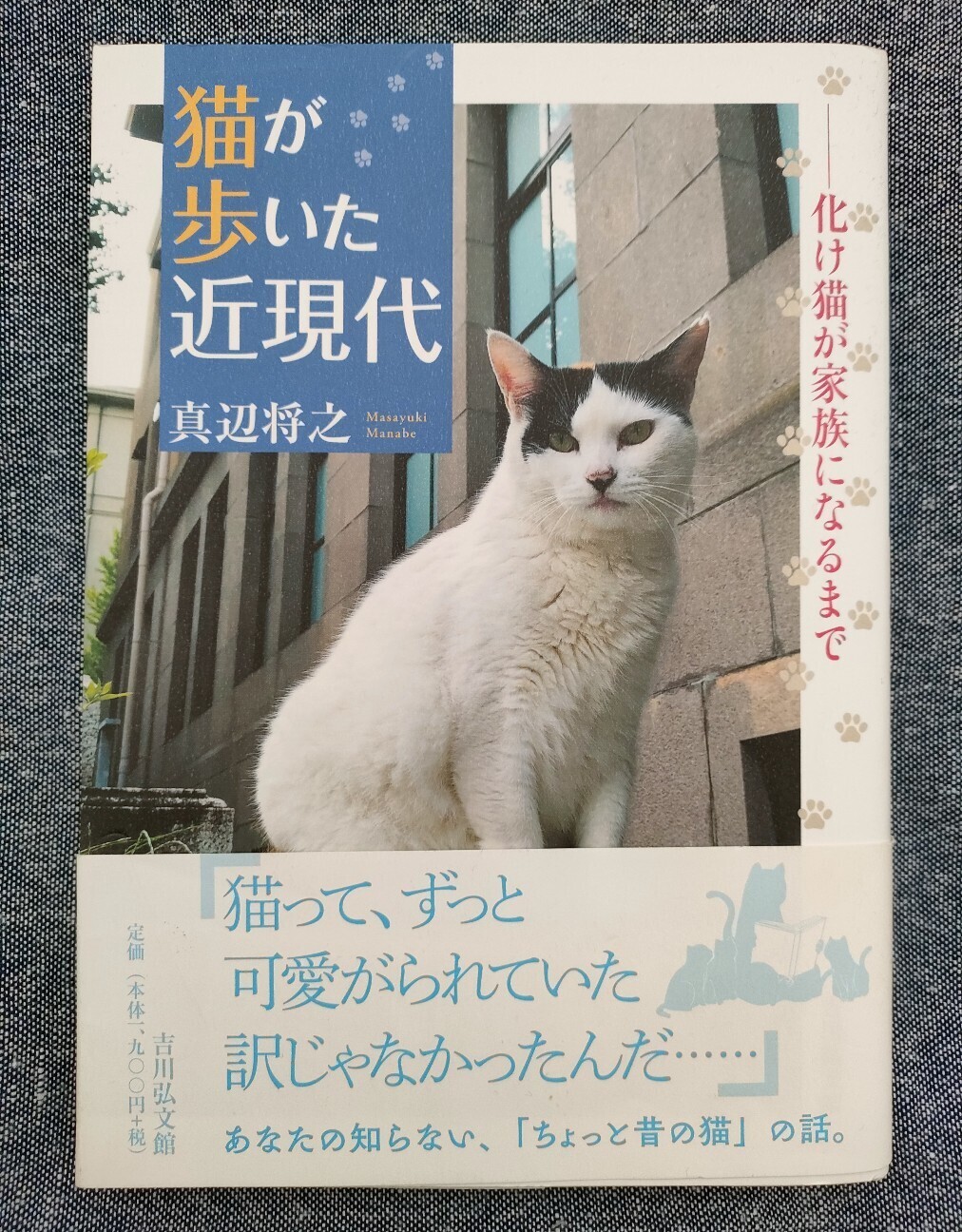 f:id:koikesan:20260222182757j:image