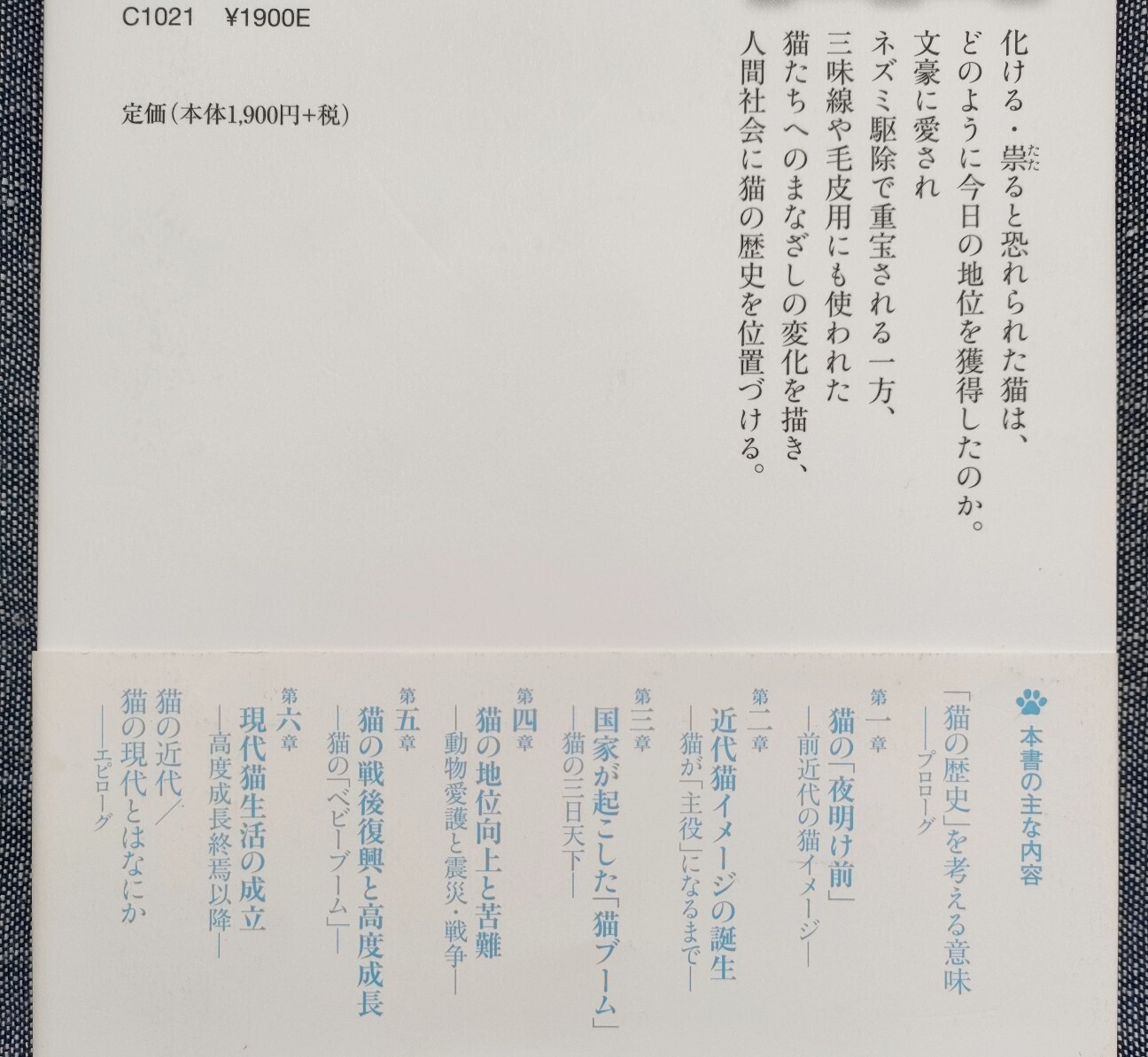 f:id:koikesan:20260222182758j:image