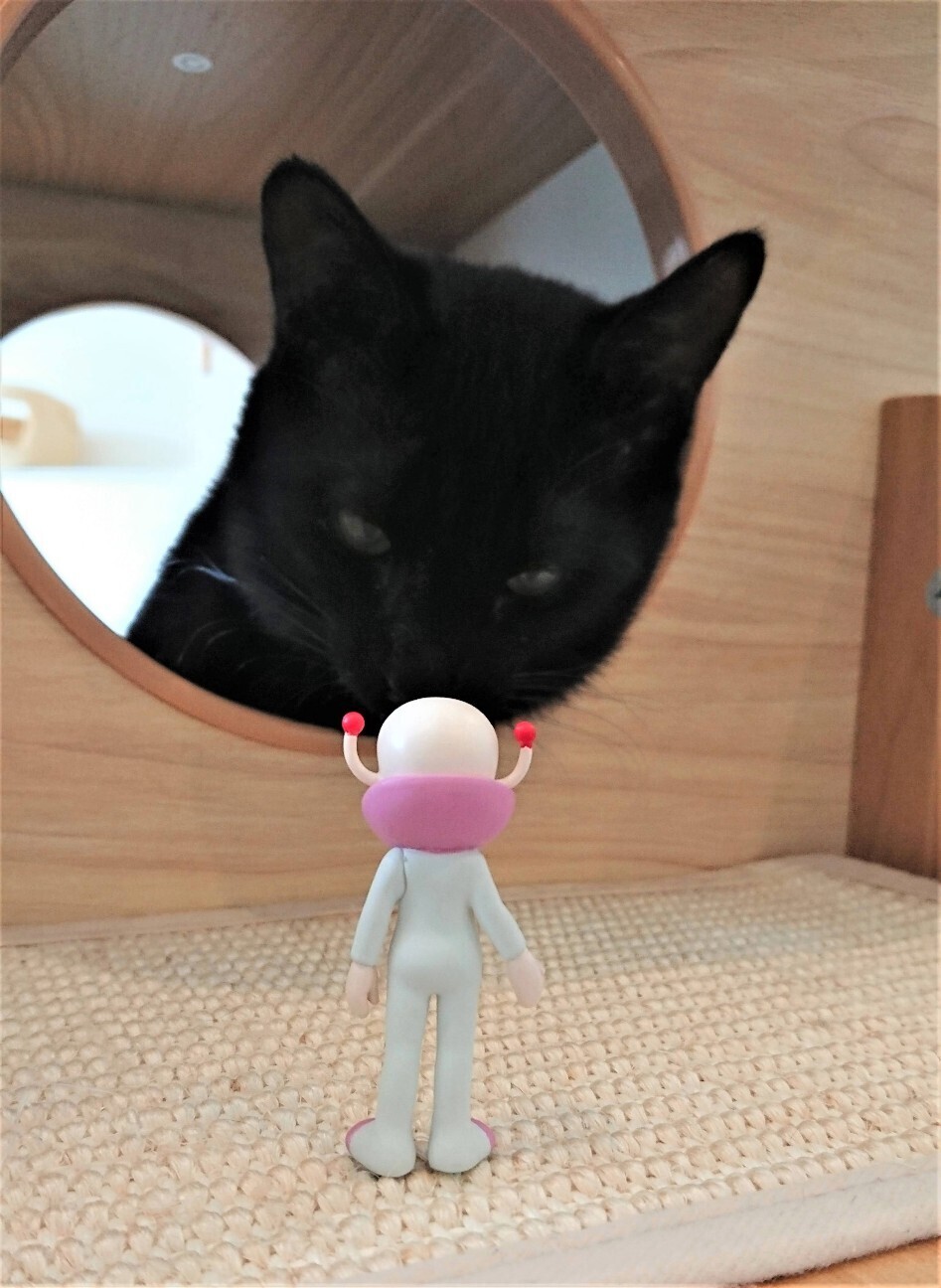 f:id:koikesan:20260222183111j:image