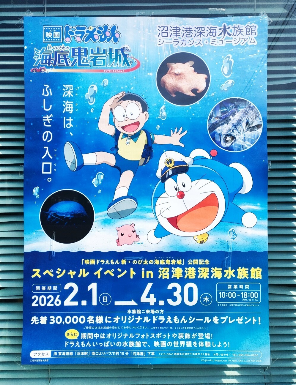 f:id:koikesan:20260311112914j:image