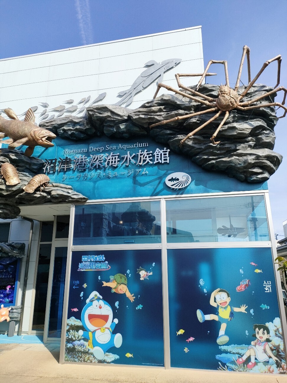 f:id:koikesan:20260311113415j:image