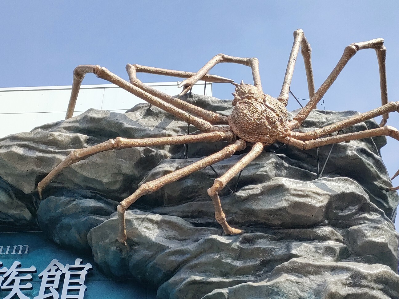 f:id:koikesan:20260311113623j:image